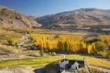 agricultural;agriculture;autuminal;autumn;autumn-colour;autumn-colours;autumnal;Bannockburn;cafe;cafes;Central-Otago;central-otago-vineyard;central-otago-vineyards;central-otago-wineries;central-otago-winery;color;colors;colour;colours;country;countryside;crop;crops;cultivation;deciduous;dining;fall;farm;farming;farmland;farms;field;fields;golden;grape;grapes;grapevine;horticulture;Mount-Difficulty-Vineyard;Mount-Difficulty-Vineyards;Mount-Difficulty-Winery;Mount-Difficulty-Wines;Mount-Michael;Mt-Difficulty-Vineyard;Mt-Difficulty-Vineyards;Mt-Difficulty-wine-tasting-room;Mt-Difficulty-Winery;Mt-Difficulty-Wines;Mt-Michael;Mt.-Difficulty-Vineyard;Mt.-Difficulty-Vineyards;Mt.-Difficulty-Winery;Mt.-Difficulty-Wines;Mt.-Michael;N.Z.;near-Cromwell;New-Zealand;NZ;Otago;poplar;poplar-tree;poplar-trees;poplars;restaurant;restaurants;row;rows;rural;S.I.;season;seasonal;seasons;SI;South-Is.;South-Island;tree;trees;vine;vines;vineyard;vineyards;vintage;wineage;wineries;winery;wines;yellow