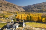 agricultural;agriculture;autuminal;autumn;autumn-colour;autumn-colours;autumnal;Bannockburn;cafe;cafes;Central-Otago;central-otago-vineyard;central-otago-vineyards;central-otago-wineries;central-otago-winery;color;colors;colour;colours;country;countryside;crop;crops;cultivation;deciduous;dining;fall;farm;farming;farmland;farms;field;fields;golden;grape;grapes;grapevine;horticulture;Mount-Difficulty-Vineyard;Mount-Difficulty-Vineyards;Mount-Difficulty-Winery;Mount-Difficulty-Wines;Mount-Michael;Mt-Difficulty-Vineyard;Mt-Difficulty-Vineyards;Mt-Difficulty-wine-tasting-room;Mt-Difficulty-Winery;Mt-Difficulty-Wines;Mt-Michael;Mt.-Difficulty-Vineyard;Mt.-Difficulty-Vineyards;Mt.-Difficulty-Winery;Mt.-Difficulty-Wines;Mt.-Michael;N.Z.;near-Cromwell;New-Zealand;NZ;Otago;poplar;poplar-tree;poplar-trees;poplars;restaurant;restaurants;row;rows;rural;S.I.;season;seasonal;seasons;SI;South-Is.;South-Island;tree;trees;vine;vines;vineyard;vineyards;vintage;wineage;wineries;winery;wines;yellow