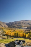 agricultural;agriculture;autuminal;autumn;autumn-colour;autumn-colours;autumnal;Bannockburn;cafe;cafes;Central-Otago;central-otago-vineyard;central-otago-vineyards;central-otago-wineries;central-otago-winery;color;colors;colour;colours;country;countryside;crop;crops;cultivation;deciduous;dining;fall;farm;farming;farmland;farms;field;fields;golden;grape;grapes;grapevine;horticulture;Mount-Difficulty-Vineyard;Mount-Difficulty-Vineyards;Mount-Difficulty-Winery;Mount-Difficulty-Wines;Mount-Michael;Mt-Difficulty-Vineyard;Mt-Difficulty-Vineyards;Mt-Difficulty-wine-tasting-room;Mt-Difficulty-Winery;Mt-Difficulty-Wines;Mt-Michael;Mt.-Difficulty-Vineyard;Mt.-Difficulty-Vineyards;Mt.-Difficulty-Winery;Mt.-Difficulty-Wines;Mt.-Michael;N.Z.;near-Cromwell;New-Zealand;NZ;Otago;poplar;poplar-tree;poplar-trees;poplars;restaurant;restaurants;row;rows;rural;S.I.;season;seasonal;seasons;SI;South-Is.;South-Island;tree;trees;vine;vines;vineyard;vineyards;vintage;wineage;wineries;winery;wines;yellow