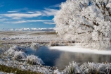 agricultural;agriculture;beautiful;calm;calmness;Central-Otago;Central-Otago-Rail-Trail;clean;clear;cold;Coldness;Color;Colour;country;countryside;Daytime;Exterior;farm;farming;farmland;farms;field;fields;freeze;freezing;freezing-fog;frost;Frosted;frosty;frozen-pond;frozen-ponds;Hawkdun-Range;Hawkdun-Ranges;high-country;hoar-frost;hoar-frosts;Hoarfrost;hoarfrosts;ice;ice-crystals;icy;idyllic;Landscape;Landscapes;Maniototo;meadow;meadows;N.Z.;natural;Nature;new-zealand;NZ;Omakau;Otago;Otago-Central-Rail-Trail;Outdoor;Outdoors;Outside;paddock;paddocks;pasture;pastures;peaceful;Peacefulness;phenomena;phenomenon;pond;ponds;pool;pools;pure;Quiet;Quietness;rail-trail;rail-trails;reservoir;reservoirs;rime;rime-ice;rural;S.I.;Scenic;Scenics;Season;Seasons;SI;silence;south-island;spectacular;stunning;tranquil;tranquility;tree;trees;view;water;weather;White;willow;willow-tree;willow-trees;willows;winter;Wintertime;wintery;wintry