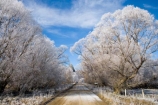 agricultural;agriculture;beautiful;calm;calmness;Central-Otago;clean;clear;cold;Coldness;Color;Colour;country;countryside;Daytime;dusty;Exterior;farm;farming;farmland;farms;field;fields;freeze;freezing;freezing-fog;frost;Frosted;frosty;gravel-road;gravel-roads;high-country;hoar-frost;hoar-frosts;Hoarfrost;hoarfrosts;ice;ice-crystals;icy;icy-road;icy-roads;Ida-Valley;idyllic;Landscape;Landscapes;Maniototo;meadow;meadows;metal-road;metal-roads;metalled-road;metalled-roads;N.Z.;natural;Nature;new-zealand;NZ;Otago;Oturehua;Outdoor;Outdoors;Outside;paddock;paddocks;pasture;pastures;peaceful;Peacefulness;phenomena;phenomenon;pure;Quiet;Quietness;rime;rime-ice;road;roads;rural;S.I.;Scenic;Scenics;Season;Seasons;SI;silence;slippery-road;slippery-roads;south-island;spectacular;stunning;tranquil;tranquility;tree;trees;view;water;weather;White;willow;willow-tree;willow-trees;willows;winter;winter-driving;winter-driving-conditions;winter-road;winter-roads;Wintertime;wintery;wintry