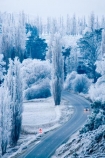 agricultural;agriculture;beautiful;calm;calmness;Central-Otago;clean;clear;cold;Coldness;Color;Colour;country;countryside;Daytime;driving;Exterior;farm;farming;farmland;farms;field;fields;freeze;freezing;freezing-fog;frost;Frosted;frosty;high-country;highway;highways;hoar-frost;hoar-frosts;Hoarfrost;hoarfrosts;ice;ice-crystals;icy;icy-road;icy-roads;idyllic;Landscape;Landscapes;meadow;meadows;N.Z.;natural;Nature;new-zealand;NZ;open-road;open-roads;Otago;Outdoor;Outdoors;Outside;paddock;paddocks;pasture;pastures;peaceful;Peacefulness;phenomena;phenomenon;poplar;poplar-tree;poplar-trees;poplars;pure;Quiet;Quietness;rime;rime-ice;road;road-trip;roads;rural;S.I.;Scenic;Scenics;Season;Seasons;SI;silence;slippery-road;slippery-roads;south-island;spectacular;straight;stunning;tranquil;tranquility;transport;transportation;travel;traveling;travelling;tree;trees;trip;view;water;weather;White;willow;willow-tree;willow-trees;willows;winter;winter-driving;winter-driving-conditions;winter-road;winter-roads;Wintertime;wintery;wintry