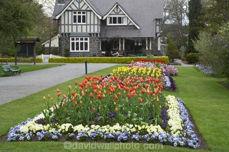 bloom;blooming;blooms;Botanic-Garden;Botanic-Gardens;Botanical-Garden;Botanical-Gardens;building;buildings;canterbury;Christchurch;Christchurch-Botanic-Garden;Christchurch-Botanic-Gardens;Christchurch-Botanical-Garden;Christchurch-Botanical-Gardens;Curators-House-Restaurant;Curators-House-Restaurant;flower;flowers;fresh;grow;growth;heritage;historic;historic-building;historic-buildings;historical;historical-building;historical-buildings;history;N.Z.;New-Zealand;NZ;old;renew;S.I.;season;seasonal;seasons;SI;South-Is.;South-Island;spring;springtime;tradition;traditional;tulip;tulips