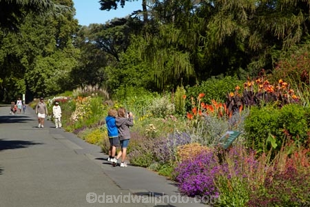 Botanic-Garden;Botanic-Gardens;Botanical-Garden;Botanical-Gardens;Canterbury;Christchurch;Christchurch-Botanic-Gardens;Christchurch-Botanical-Gardens;Christchurch-Gardens;floral;flower;flower-bed;flower-beds;flowers;garden;gardens;Hagley-Park;Herbaceous-Border;N.Z.;New-Zealand;NZ;people;person;S.I.;South-Is;South-Island