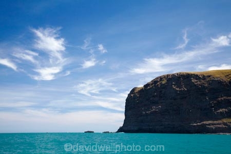 Akaroa;Akaroa-Harbor;Akaroa-Harbour;Akaroa-Harbour-Heads;Banks-Peninsula;bluff;bluffs;Canterbury;cliff;cliffs;N.Z.;New-Zealand;NZ;S.I.;South-Is;South-Island