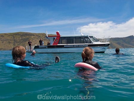 Akaroa;Akaroa-Harbor;Akaroa-Harbour;Banks-Peninsula;boat;boats;Canterbury;cruise;cruises;launch;launches;N.Z.;New-Zealand;NZ;people;person;S.I.;South-Is;South-Island;tour-boat;tour-boats;tourism;tourist;tourist-boat;tourist-boats;water