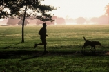 dawn;dogs;field;fields;fog;foggy;grass;jog;jogger;joggers;mist;misty;parks;run;runners;tree;trees