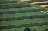 aerial;aerial-photo;aerial-photography;aerial-photos;aerial-view;aerial-views;aerials;agricultural;agriculture;canterbury;Christchurch;country;countryside;crop;Crops;farm;farming;farmland;farms;field;fields;hedge;hedgerow;hedgerows;hedges;horticulture;meadow;meadows;n.z.;new-zealand;nz;paddock;paddocks;pasture;pastures;rural;S.I.;shelter-belt;shelter-belts;shelter_belt;shelter_belts;shelterbelt;shelterbelts;SI;South-Island;wind-break;wind-breaks;wind_break;wind_breaks;windbreak;windbreaks