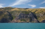Akaroa;Akaroa-Harbor;Akaroa-Harbour;Banks-Peninsula;bluff;bluffs;Canterbury;cliff;cliffs;N.Z.;New-Zealand;NZ;S.I.;South-Is;South-Island