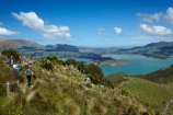 Banks-Peninsula;Canterbury;Chch;Christchurch;families;family;gondola-top-station;harbor;harbors;harbour;harbours;hiker;hikers;hiking-track;hiking-tracks;Lyttelton-Harbor;Lyttelton-Harbour;Mount-Cavendish;Mount-Cavendish-Gondola;Mt-Cavendish;Mt-Cavendish-Gondola;N.Z.;New-Zealand;NZ;people;person;Port-Hills;S.I.;SI;South-Is;South-Island;Sth-Is;top-station;tourism;tourist;tourists;track;tracks;walker;walkers;walking-track;walking-tracks