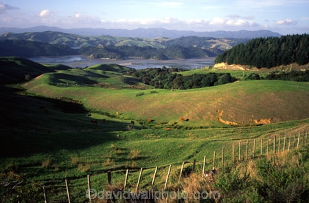 agriculture;farm;farms;fence;fenceline;fences;field;fields;grass;green;hedgerow;hedgerows;lush;meadow;meadows;paddock;paddocks;pasture;pastures;plain;plains;rural;spring;verdant