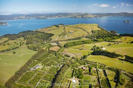 3403;aerial;aerial-photo;aerial-photograph;aerial-photographs;aerial-photography;aerial-photos;aerial-view;aerial-views;aerials;agricultural;agriculture;coast;coastal;coastline;coastlines;coasts;coromandel;coromandel-peninsula;country;countryside;crop;crops;farm;farming;farmland;farms;field;fields;foreshore;fruit;fruit-tree;fruit-trees;horticulture;island;Kiwifruit-Orchard;Kiwifruit-Orchards;macadamia;macadamia-nut-orchard;macadamia-nuts;Macadamia-Orchards;macadamias;meadow;meadows;Mercury-Bay;N.I.;N.Z.;new;New-Zealand;NI;north;North-Is;north-is.;North-Island;NZ;ocean;orchard;orchards;paddock;paddocks;pasture;pastures;peninsula;row;rows;rural;sea;shore;shoreline;shorelines;shores;tree;trees;Waikato;water;zealand