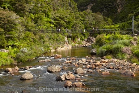 bridge;bridges;Coromandel;Coromandel-Peninsula;foot-bridge;foot-bridges;footbridge;footbridges;hike;hikes;hiking;hiking-track;hiking-tracks;Karangahake-Gorge;Karangahake-Gorge-Historic-Walkway;Karangahake-Gorge-Track;Karangahake-Gorge-Walk;Karangahake-Gorge-Walkway;N.I.;N.Z.;New-Zealand;NI;North-Is;North-Is.;North-Island;NZ;Paeroa;pedestrian-bridge;pedestrian-bridges;river;rivers;rope-bridge;rope-bridges;suspension-bridge;suspension-bridges;swing-bridge;swing-bridges;Swingbridge;track;tracks;tramp;tramping;tramps;Waikato;Waitawheta-River;walk;walking;walking-track;walking-tracks;walks;wire-bridge;wire-bridges