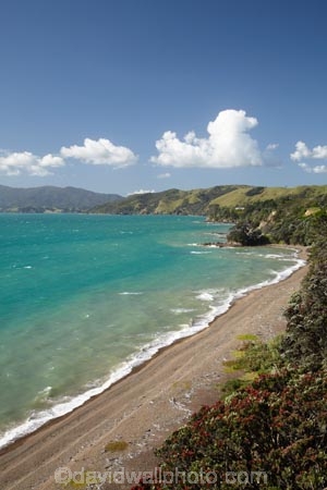 Amodeo-Bay;coast;coastal;coastline;coastlines;coasts;Colville-Rd;Colville-Road;Coromandel;Coromandel-Peninsula;foreshore;N.I.;N.Z.;New-Zealand;NI;North-Is;North-Is.;North-Island;NZ;ocean;sea;shore;shoreline;shorelines;shores;Waikato;water