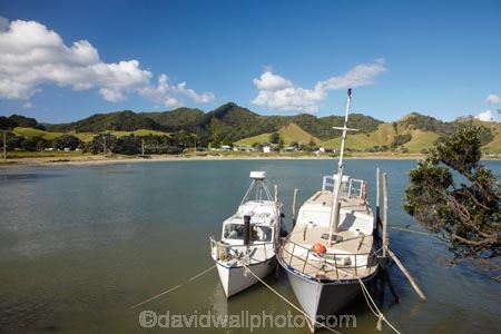 boat;boats;coast;coastal;coastline;coastlines;coasts;Coromandel;Coromandel-Peninsula;foreshore;launch;launches;N.I.;N.Z.;New-Zealand;NI;North-Is;North-Is.;North-Island;NZ;ocean;Otautu-Bay;Otautu-Point;pleasure-boat;pleasure-boats;sea;shore;shoreline;shorelines;shores;Waikato;water
