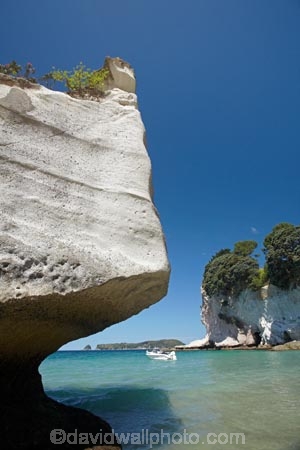 beach;beaches;boat;boats;Cathedral-Cove;Cathedral-Cove-recreation-reserve;coast;coastal;coastline;coastlines;coasts;Coromandel;Coromandel-Peninsula;cruise;cruises;foreshore;geological;geology;Hahei;launch;launches;Mares-Leg-Cove;Mares-Leg-Cove;marine-reserve;marine-reserves;Mercury-Bay;N.I.;N.Z.;New-Zealand;NI;North-Is;North-Is.;North-Island;NZ;ocean;oceans;pleasure-boat;pleasure-boats;rock;rock-formation;rock-formations;rock-outcrop;rock-outcrops;rock-tor;rock-torr;rock-torrs;rock-tors;rocks;sand;sandy;sea;seas;shore;shoreline;shorelines;shores;speed-boat;speed-boats;stone;Te-Whanganui-A-Hei-Marine-Reserve;Te-Whanganui_A_Hei-Marine-Reserve;Waikato;water