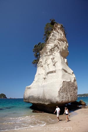 beach;beaches;Cathedral-Cove;Cathedral-Cove-recreation-reserve;coast;coastal;coastline;coastlines;coasts;Coromandel;Coromandel-Peninsula;couple;foreshore;geological;geology;Hahei;marine-reserve;marine-reserves;Mercury-Bay;N.I.;N.Z.;New-Zealand;NI;North-Is;North-Is.;North-Island;NZ;ocean;oceans;people;person;rock;rock-formation;rock-formations;rock-outcrop;rock-outcrops;rock-tor;rock-torr;rock-torrs;rock-tors;rocks;sand;sandy;sea;seas;shore;shoreline;shorelines;shores;stone;Te-Whanganui-A-Hei-Marine-Reserve;Te-Whanganui_A_Hei-Marine-Reserve;Waikato;water