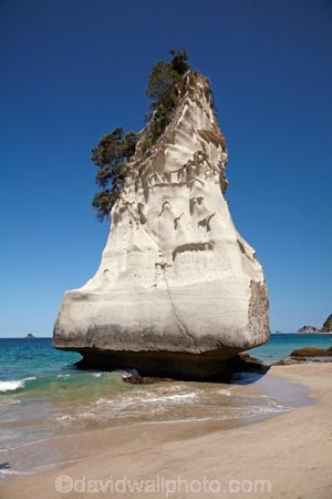 beach;beaches;Cathedral-Cove;Cathedral-Cove-recreation-reserve;coast;coastal;coastline;coastlines;coasts;Coromandel;Coromandel-Peninsula;foreshore;geological;geology;Hahei;marine-reserve;marine-reserves;Mercury-Bay;N.I.;N.Z.;New-Zealand;NI;North-Is;North-Is.;North-Island;NZ;ocean;oceans;rock;rock-formation;rock-formations;rock-outcrop;rock-outcrops;rock-tor;rock-torr;rock-torrs;rock-tors;rocks;sand;sandy;sea;seas;shore;shoreline;shorelines;shores;stone;Te-Whanganui-A-Hei-Marine-Reserve;Te-Whanganui_A_Hei-Marine-Reserve;Waikato;water