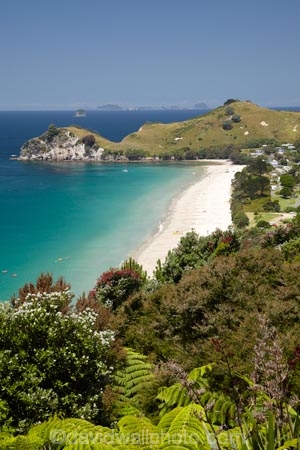 beach;beaches;coast;coastal;coastline;coastlines;coasts;Coromandel;Coromandel-Peninsula;foreshore;Hahei;Hahei-Beach;Hereheretaura-Point;Hereheretaura-Pt;N.I.;N.Z.;New-Zealand;NI;North-Is;North-Is.;North-Island;NZ;ocean;sand;sandy;sea;seas;shore;shoreline;shorelines;shores;Te-Pare;Waikato;water