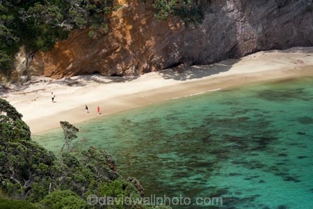 beach;beaches;coast;coastal;coastline;coastlines;coasts;Coromandel;Coromandel-Peninsula;families;family;foreshore;Hahei;Hahei-Beach;N.I.;N.Z.;New-Zealand;NI;North-Is;North-Is.;North-Island;NZ;ocean;sand;sandy;sea;seas;shore;shoreline;shorelines;shores;Waikato;water