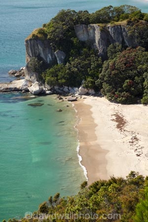beach;beaches;coast;coastal;coastline;Coromandel;Coromandel-Peninsula;Lonely-Bay;Mercury-Bay;N.I.;N.Z.;New-Zealand;NI;North-Is;North-Is.;North-Island;NZ;ocean;oceans;sand;sandy;sea;seas;shore;shoreline;summer;Waikato