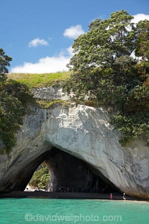 beach;beaches;bluff;bluffs;Cathedral-Cove;Cathedral-Cove-recreation-reserve;cave;cavern;caverns;caves;cliff;cliffs;coast;coastal;coastline;coastlines;coasts;Coromandel;Coromandel-Peninsula;foreshore;geological;geology;grotto;grottos;Hahei;littoral-cave;littoral-caves;marine-reserve;marine-reserves;Mercury-Bay;N.I.;N.Z.;New-Zealand;NI;North-Is;North-Is.;North-Island;NZ;ocean;oceans;roch-arches;rock;rock-arch;rock-formation;rock-formations;rock-outcrop;rock-outcrops;rock-tor;rock-torr;rock-torrs;rock-tors;rocks;sand;sandy;sea;sea-cave;sea-caves;seas;shore;shoreline;shorelines;shores;stone;Te-Whanganui-A-Hei-Marine-Reserve;Te-Whanganui_A_Hei-Marine-Reserve;Waikato;water