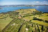 3403;aerial;aerial-photo;aerial-photograph;aerial-photographs;aerial-photography;aerial-photos;aerial-view;aerial-views;aerials;agricultural;agriculture;coast;coastal;coastline;coastlines;coasts;coromandel;coromandel-peninsula;country;countryside;crop;crops;farm;farming;farmland;farms;field;fields;foreshore;fruit;fruit-tree;fruit-trees;horticulture;island;Kiwifruit-Orchard;Kiwifruit-Orchards;macadamia;macadamia-nut-orchard;macadamia-nuts;Macadamia-Orchards;macadamias;meadow;meadows;Mercury-Bay;N.I.;N.Z.;new;New-Zealand;NI;north;North-Is;north-is.;North-Island;NZ;ocean;orchard;orchards;paddock;paddocks;pasture;pastures;peninsula;row;rows;rural;sea;shore;shoreline;shorelines;shores;tree;trees;Waikato;water;zealand