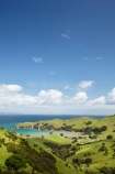 agricultural;agriculture;Coromandel;Coromandel-Peninsula;country;countryside;farm;farming;farmland;farms;field;fields;Kirita-Bay;meadow;meadows;N.I.;N.Z.;New-Zealand;NI;North-Is;North-Is.;North-Island;NZ;paddock;paddocks;pasture;pastures;rural;Waikato