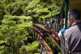 Coromandel;Coromandel-Peninsula;Coromandel-Town;Driving-Creek-Railway;ferns;N.I.;N.Z.;native-bush;New-Zealand;NI;North-Is;North-Is.;North-Island;NZ;rail;railroad;railroads;rails;railway;railways;tourism;tourist-attraction;tourist-railway;track;tracks;train;trains;Waikato