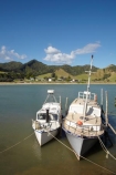 boat;boats;coast;coastal;coastline;coastlines;coasts;Coromandel;Coromandel-Peninsula;foreshore;launch;launches;N.I.;N.Z.;New-Zealand;NI;North-Is;North-Is.;North-Island;NZ;ocean;Otautu-Bay;Otautu-Point;pleasure-boat;pleasure-boats;sea;shore;shoreline;shorelines;shores;Waikato;water