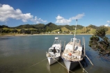boat;boats;coast;coastal;coastline;coastlines;coasts;Coromandel;Coromandel-Peninsula;foreshore;launch;launches;N.I.;N.Z.;New-Zealand;NI;North-Is;North-Is.;North-Island;NZ;ocean;Otautu-Bay;Otautu-Point;pleasure-boat;pleasure-boats;sea;shore;shoreline;shorelines;shores;Waikato;water
