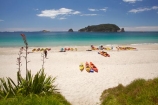adventure;adventure-tourism;beach;beaches;boat;boats;canoe;canoeing;canoes;coast;coastal;coastline;coastlines;coasts;Coromandel;Coromandel-Peninsula;flax;foreshore;Hahei;Hahei-Beach;kayak;kayaking;kayaks;leisure;N.I.;N.Z.;New-Zealand;NI;North-Is;North-Is.;North-Island;NZ;ocean;recreation;sand;sandy;sea;sea-kayak;sea-kayaking;sea-kayaks;seas;shore;shoreline;shorelines;shores;summer;Te-Tio-Is;Te-Tio-Island;Waikato;water