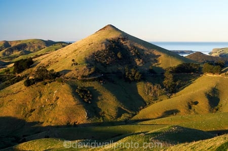 agricultural;agriculture;country;countryside;Dunedin;farm;farming;farmland;farms;field;fields;Harbour-Cone;meadow;meadows;N.Z.;New-Zealand;NZ;Otago;Otago-Peninsula;paddock;paddocks;pasture;pastures;rural;S.I.;SI;South-Is.;South-Island;volcanic;volcano;volcanoes