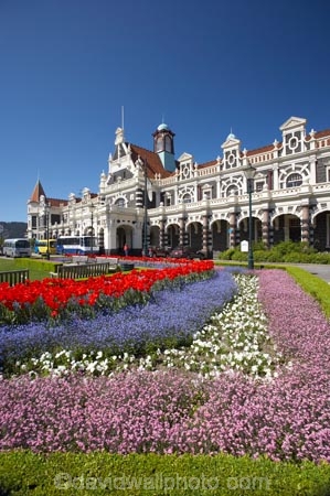 1906;architecture;bloom;blooming;blooms;building;buildings;color;colorful;colors;colour;colourful;colours;council-gardens;Dunedin;Dunedin-Railway-Station;Flemish-Renaissance-style;floral;flower;flower-bed;flower-beds;flower-garden;flower-gardens;flowers;fresh;garden;gardens;George-A-Troup;Gingerbread-George;grow;growth;heritage;historic;historic-building;historic-buildings;historical;historical-building;historical-buildings;history;N.Z.;New-Zealand;NZ;old;Otago;rail-station;rail-stations;railway;railway-station;railway-stations;railways;renew;S.I.;season;seasonal;seasons;SI;South-Is.;South-Island;spring;Spring-Flowers;springtime;tradition;traditional;train-station;train-stations;tulip;tulips