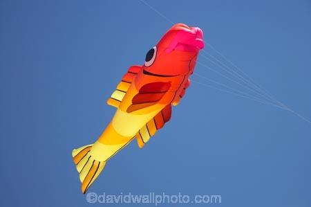 breeze;breezy;color;colorful;colour;colourful;Dunedin;fish-kite;fish-kites;fly;flying;kite;kite-festival;kite-flying;kites;N.Z.;New-Zealand;NZ;Otago;red;S.I.;SI;skies;sky;South-Is.;South-Island;wind;wind-sock;wind-socks;wind_sock;wind_socks;windsock;windsocks;windy;yellow