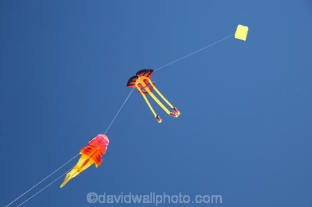 breeze;breezy;color;colorful;colour;colourful;Dunedin;fish-kite;Fish-Kites;fly;flying;Jellyfish-Kite;Jellyfish-Kites;kite;kite-festival;kite-flying;kites;N.Z.;New-Zealand;NZ;Otago;red;S.I.;SI;skies;sky;South-Is.;South-Island;wind;wind-sock;wind-socks;wind_sock;wind_socks;windsock;windsocks;windy;yellow