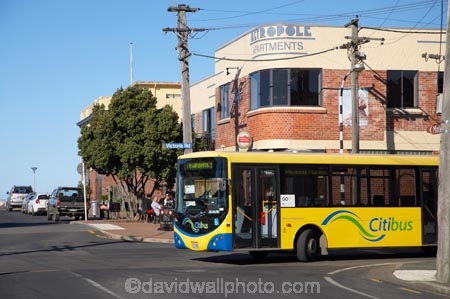 bus;buses;citibus;Dunedin;Metropole-Apartments;Metropole-Building;N.Z.;New-Zealand;NZ;Otago;Passenger-Bus;passenger-buses;passenger-transport;public-transport;S.I.;Saint-Clair;SI;South-Is;South-Island;St-Clair;St.-Clair;transportation;Victoria-Rd;Victoria-Road;yellow-bus