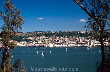 harbor;harbors;harbours;view;scenary;city;port-of-dunedin;port-of-otago;dunedin-harbour;sea