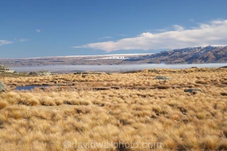 agricultural;agriculture;air-pollutants;air-pollution;air-quality;airshed;airsheds;atmosphere;bad-air-quality;carbon-emission;carbon-emissions;carbon-footprint;country;countryside;emission;emissions;emit;environment;farm;farming;farmland;farms;field;fields;global-warming;greenhouse-gas;greenhouse-gases;high-pollution-day;high-pollution-days;meadow;meadows;Middlemarch;N.Z.;New-Zealand;NZ;Otago;paddock;paddocks;pasture;pastures;pollute;polluting;pollution;poor-air-quality;Rock-and-Pillar-Range;rural;S.I.;SI;smog;smoggy;smoke;smokey;South-Is.;South-Island;Strath-Taieri;tussock;tussocks