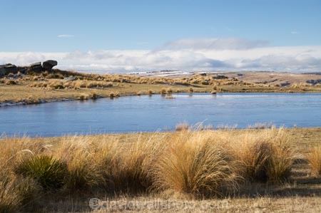agricultural;agriculture;country;countryside;dam;dams;farm;farming;farmland;farms;field;fields;irigation-pond;irrigation-dam;irrigation-dams;irrigation-ponds;meadow;meadows;Middlemarch;N.Z.;New-Zealand;NZ;Otago;paddock;paddocks;pasture;pastures;pond;ponds;rural;S.I.;SI;South-Is.;South-Island;Strath-Taieri;tussock;tussocks