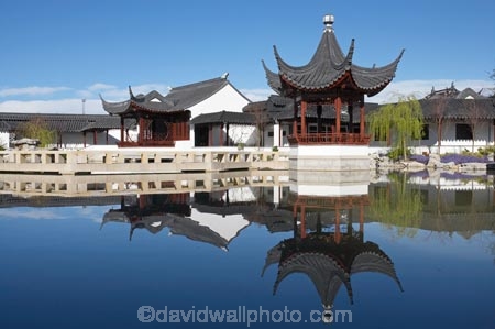 architecture;asian-oriental;building;buildings;calm;Chinese-Garden;Chinese-Gardens;Chinese-Pagoda;Ching-Dynasty-Scholars-Garden;city-garden;city-gardens;council-gardens;Dunedin;Dunedin-Chinese-Garden;Dunedin-Chinese-Gardens;garden;N.Z.;New-Zealand;NZ;Otago;pagoda;placid;pond;ponds;pools;quiet;reflection;reflections;S.I.;serene;SI;smooth;South-Is.;South-Island;still;tranquil;water