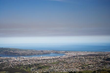 air-pollution;air-polutants;air-quality;airshed;airsheds;atmosphere;bad-air-quality;Bloom;carbon-emission;carbon-emissions;carbon-footprint;Dunedin;emission;emissions;emit;environment;Flagstaff;flower;flowers;global-warming;gorse;gorse-flower;gorse-flowers;greenhouse-gas;greenhouse-gases;high-pollution-day;high-pollution-days;inversion;inversion-layer;inversion-layers;inversions;layer;N.Z.;New-Zealand;NZ;Otago;pest;pollute;polluting;pollution;poor-air-quality;S.I.;scrub-fire;SI;smog;smoggy;smoke;smokey;South-Is.;South-Island;Ulex-europaeus;weed;weeds;yellow-flower;yellow-flowers