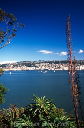 harbor;harbors;harbours;view;scenary;city;port-of-dunedin;port-of-otago;dunedin-harbour;sea
