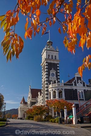 1906;architecture;autuminal;autumn;autumn-colour;autumn-colours;autumnal;building;buildings;city-gardens;clock;clock-tower;clock-towers;color;colorful;colors;colour;colourful;colours;deciduous;Dunedin;Dunedin-Railway-Station;fall;Flemish-Renaissance-style;George-A-Troup;Gingerbread-George;heritage;Historic;historic-building;historic-buildings;Historic-Railway-Station;historical;historical-building;historical-buildings;history;leaf;leaves;N.Z.;New-Zealand;North-Dunedin;NZ;old;Otago;rail-station;rail-stations;railway;railway-station;railway-stations;railways;S.I.;season;seasonal;seasons;SI;South-Is;South-Is.;South-Island;Sth-Is;tradition;traditional;train-station;train-stations;tree;trees