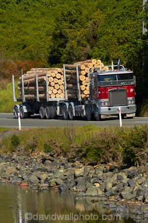 articulated-lorries;articulated-lorry;articulated-truck;articulated-trucks;bulk;Dunedin;Dunedin-Carrying-Company;export;export-logs;exporting;exports;forestry;forestry-industry;heavy-haulage;industrial;industry;Juggernaut;Juggernauts;Kenworth;Kenworths;log;log-hauler;log-haulers;log-lorries;log-lorry;log-truck;log-trucks;logging;logging-lorries;logging-lorry;logging-truck;logging-trucks;logs;lorries;lorry;lumber;N.Z.;New-Zealand;NZ;Otago;Otago-Harbour;pine;pine-tree;pine-trees;pines;pinus-radiata;Port-Chalmers;Pt-Chalmers;Ravensbourne-Rd;Ravensbourne-Road;rig;rigs;S.I.;semi;semitrailer;semitrailers;SI;South-Is;South-Is.;South-Island;St-Leonards;Sth-Is;stockpile;stockpiles;timber;timber-industry;tractor-trailer;tractor-trailers;trade;transport;transportation;tree;tree-trunk;tree-trunks;trees;truck;trucks;wood
