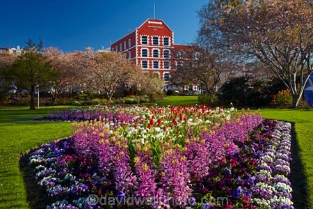 1867;1890;bloom;blooming;blooms;blooning;building;buildings;Crown-Mills-Building;Crown-Roller-Mills;Dunedin;floral;flower;flower-bed;flower-beds;flower-garden;flower-gardens;flowers;garden;gardens;heritage;historic;historic-building;historic-buildings;historical;historical-building;historical-buildings;history;N.Z.;New-Zealand;NZ;old;Otago;public-flower-garden;public-garden;public-gardens;S.I.;season;seasonal;seasons;SI;South-Is;South-Island;spring;spring-time;spring_time;springtime;Sth-Is;tradition;traditional