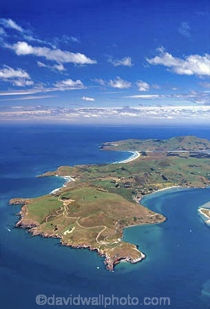 Pacific;Ocean;Beach;beaches;harbor;harbors;harbour;harbours;peninsula;shore;shoreline;aerial-;aerials;Dunedin;Otago;Peninsula;Otago-Harbour;Pacific-Ocean-;Taiaroa-Head;Albatross-Colony