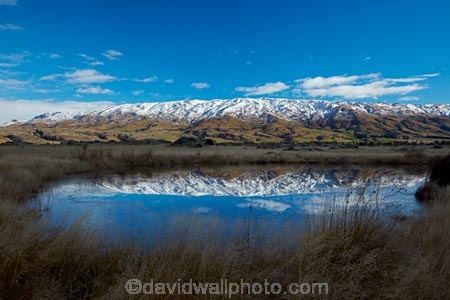 agricultural;agriculture;calm;country;countryside;Dunedin;farm;farm-pond;farm-ponds;farming;farmland;farms;field;fields;meadow;meadows;Middlemarch;N.Z.;New-Zealand;NZ;Otago;paddock;paddocks;pasture;pastures;placid;pond;ponds;quiet;range;ranges;reflected;reflection;reflections;Rock-amp;-Pillar-Range;Rock-and-Pillar-Range;rural;S.I.;season;seasons;serene;SI;smooth;snow-capped;snow_capped;snowcapped;snowy;South-Is;South-Is.;South-Island;Sth-Is;still;Strath-Taieri;Sutton;tranquil;water;winter