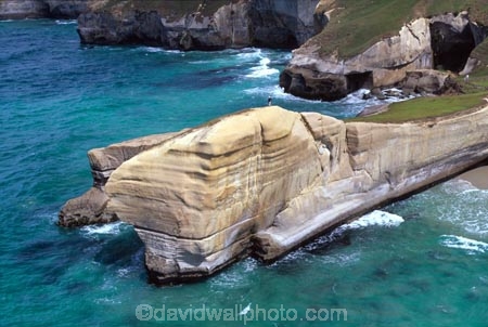 aerial;aerials;cliff;cliffs;dunedin;tunnel-beach;bluff;bluffs;precipice;person;;high;sea-ocean;pacific;coastline;coast;rock