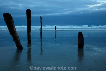 break-of-day;calm;coast;coastal;coastline;coastlines;coasts;dawn;dawning;daybreak;Dunedin;first-light;gray;grey;heritage;historic;historical;history;jetties;jetty;morning;N.Z.;New-Zealand;NZ;ocean;oceans;old;Old-Pier-Piles;Otago;Pacific-Ocean;pier;piers;pile;piles;placid;post;posts;quiet;reflection;reflections;S.I.;Saint-Clair-Beach;Saint-Clair-Esplanade;sea;seas;serene;shore;shoreline;shorelines;shores;SI;silhouette;silhouettes;smooth;South-Is;South-Is.;South-Island;St-Clair;St-Clair-Beach;St-Clair-Esplanade;St.-Clair-Beach;St.Clair;St.Clair-Esplanade;still;sunrise;sunrises;sunup;The-Esplanade;tradition;traditional;tranquil;twilight;vertical;water;waterside;wharf;wharfes;wharves